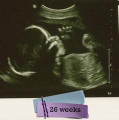 26wksWM